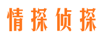 延平市婚姻调查